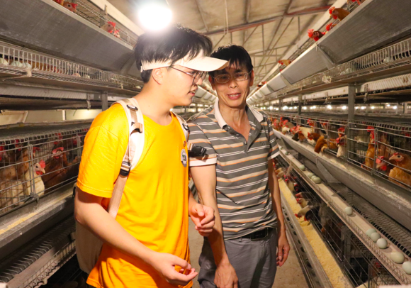 2026世界杯官网19支暑期社会实践队用实干书写“青春答卷”